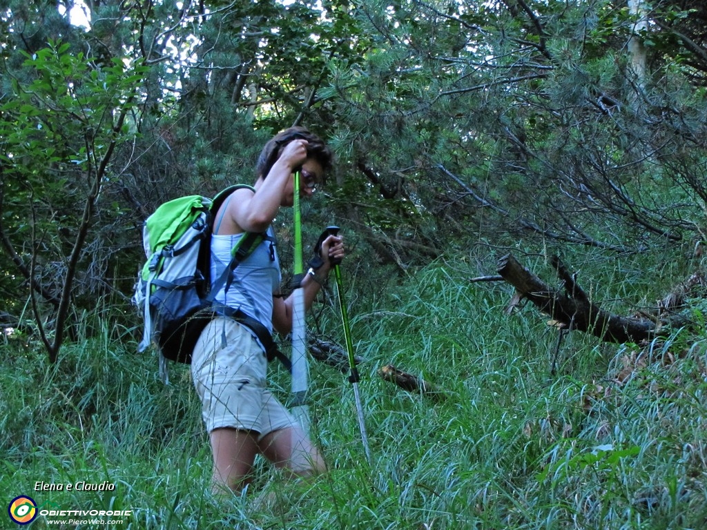 06 Si sale nel bosco di faggi.JPG